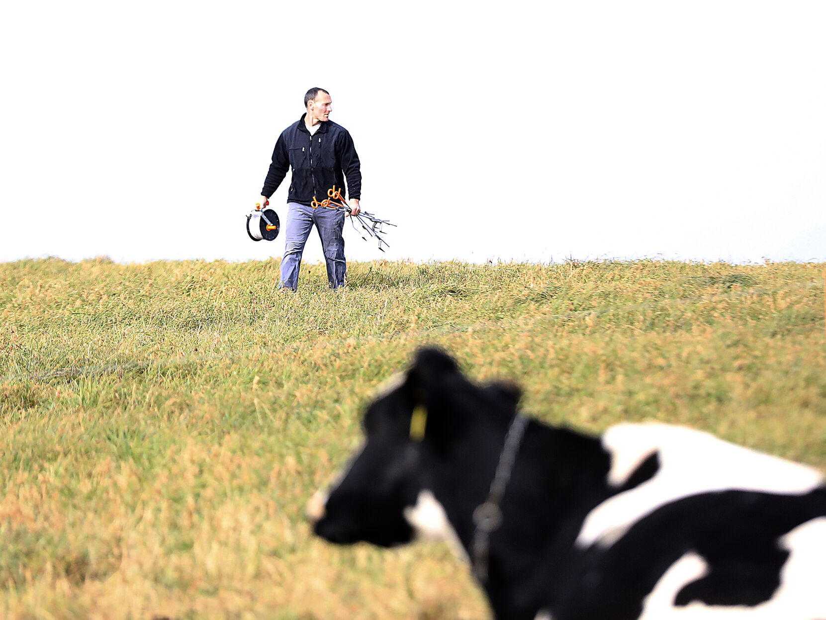 Grazing 08-11192020133506